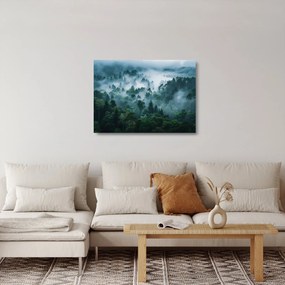 Obraz na szkle - Las we mgle (70x50 cm)