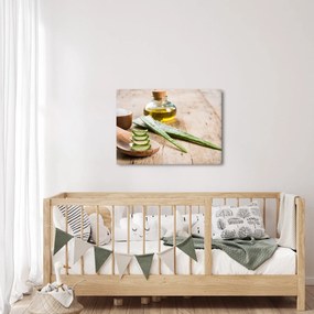 Obraz - Aloes (70x50 cm)