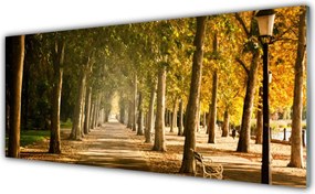 Panel Szklany do Kuchni Romantyczna Parkowa Alejka