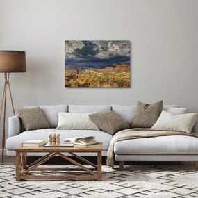 Obraz na szkle - kaktusy w przyrodzie (70x50 cm)
