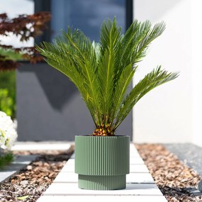 Donica ogrodowa z wkładem Milly 39,5 x 39,5 x 37,5 cm zielona pinia PROSPERPLAST