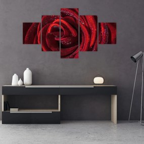 Obraz - Czerwona róża z kroplami rosy (125x70 cm)