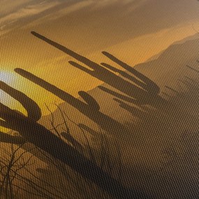 Obraz - Kaktusy Saguaro (170x50 cm)
