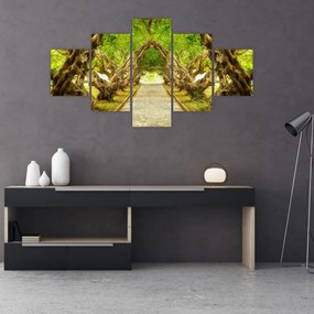 Obraz - Żywy tunel plumerii (125x70 cm)