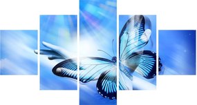 Obraz - Motyl, symbol nadziei (125x70 cm)