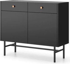 Alderia 2D2S – nowoczesna komoda do salonu i sypialni, dostępna w 2 kolorach