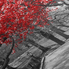 Obraz - Czerwone drzewa, Central Park, New York (125x70 cm)