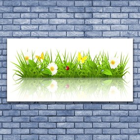 Obraz canvas na ścianę Zielona Świeżość Trawy