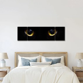Obraz - Kocie oczy (170x50 cm)