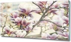 Foto obraz szkło hartowane Magnolia