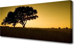 Zdjęcie na płótnie Naturalna Gęstwina Parkowa