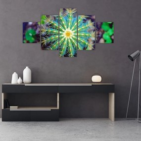Obraz kaktusa (125x70 cm)