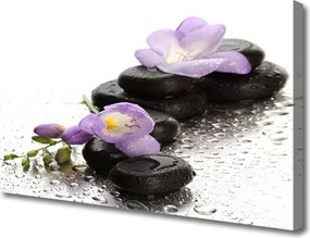 Obraz canvas Równowaga: Kwiat i Skała