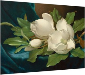 Obraz na szkle - Martin Johnson Heade, Giant Magnolias on a Blue Velvet Cloth, reprodukcje (70x50 cm)
