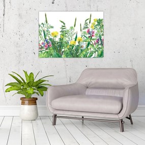 Obraz na szkle - Malowane kwiaty łąkowe (70x50 cm)