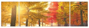 Obraz jesiennych drzew (170x50 cm)