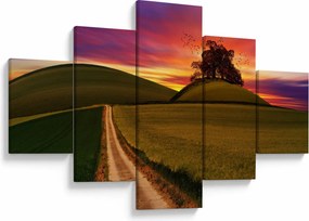 Obraz pola i kolorowego nieba (125x70 cm)