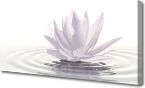 Obraz na płótnie Kwiat Lotosu na Wodzie