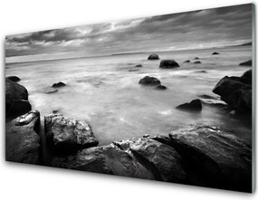 Panel Szklany do Kuchni Surowy Brzeg Oceanu