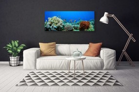 Obraz canvas Kolorowe Życie Oceanu