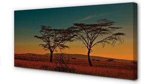 Duży obraz na płótnie Drzewa na Tle Nieba
