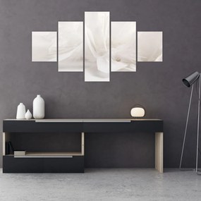 Obraz - Pióro (125x70 cm)