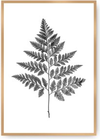 Plakat Fern Grey