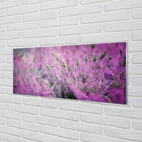 Szkło do Kuchni na Ścianę Fioletowy Dywan Wrzosowisk