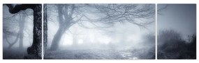 Obraz- Droga we mgle (170x50 cm)