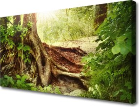 Obraz canvas na ścianę Tekstura Pnia Drzewa w Lesie