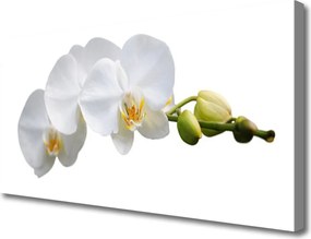 Obraz na płótnie Dekoracyjny Bukiet Botaniczny