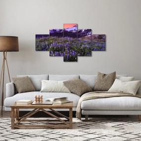 Obraz - Wulkan i kwiaty (125x70 cm)