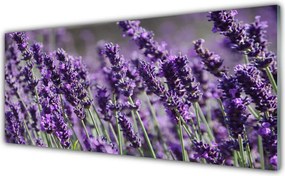 Panel Kuchenny Kompozycja Kwiatowa Na Szkle