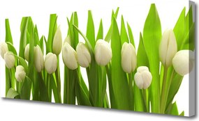 Obraz canvas na ścianę Kolorowy Zawrót Głowy: Tulipany