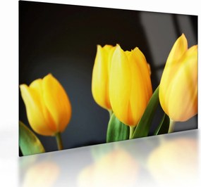 Obraz na szkle - tulipany (70x50 cm)