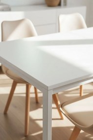 Stó Prostoktny Dino 120x75 cm