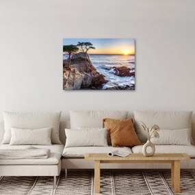 Obraz - Wybrzeże Pacyfiku (70x50 cm)