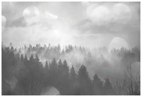 Fototapeta czarno-biała mgła nad lasem