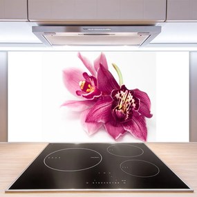 Panel nad blat kuchenny Wykwintny Ogród Botaniczny