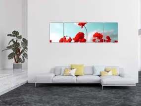 Obraz pola z jasnoczerwonymi kwiatami (170x50 cm)