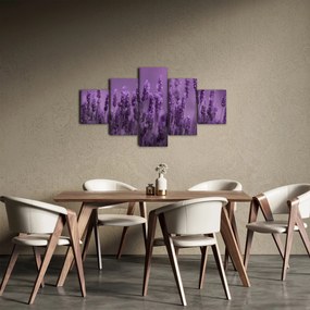 Obraz - Lawenda (125x70 cm)