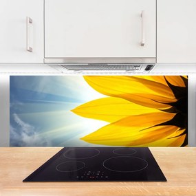 Panel Szklany do Kuchni Delikatne Płatki Kwiatowe