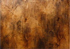 Obraz - Detal drewna (70x50 cm)