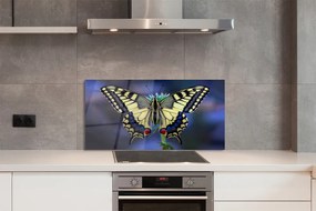Panel szklany do Kuchni Chwila Odpoczynku Motyla
