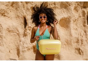 Morski pojemnik chłodzący 12 l Classic – Polarbox