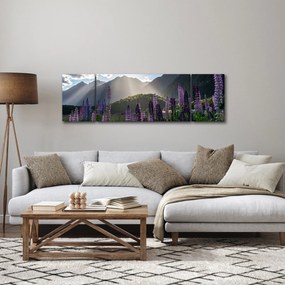 Obraz - Sceneria łubinów (170x50 cm)