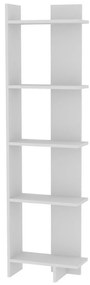 Biblioteczka Als White