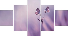 Obraz - Fioletowe motyle (125x70 cm)