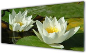 Panel nad blat kuchenny Kompozycja Suszonych Roślin