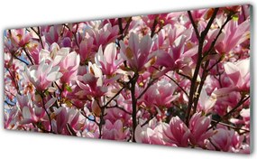 Panel Szklany Kwitnące Gałązki Drzewa